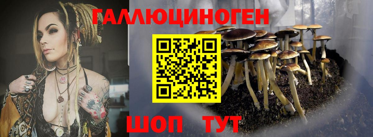 Псилоцибиновые грибы прущие грибы Пыть-Ях